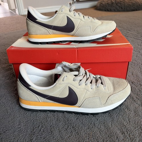 Rare 2013 nike air pegasus - 2013,
