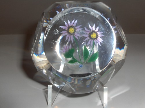 Caithness whitefriars daisy - caithness/whitefriars, "daisy