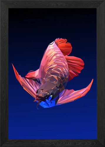 Arowana fish framed wall - fish, art