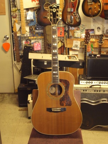 Guild natural premium - d-55, usa