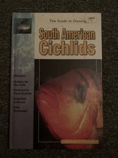 The Guide to Owning South