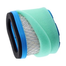 For Briggs & Stratton Engine