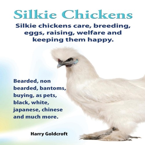 Silkie chickens - silkie, chickens.