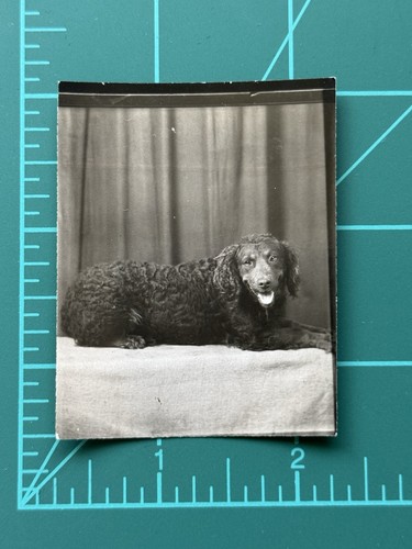 Vtg photo booth - photo,