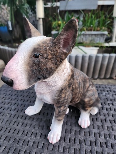 Bull terrier brindle - bull, realistic