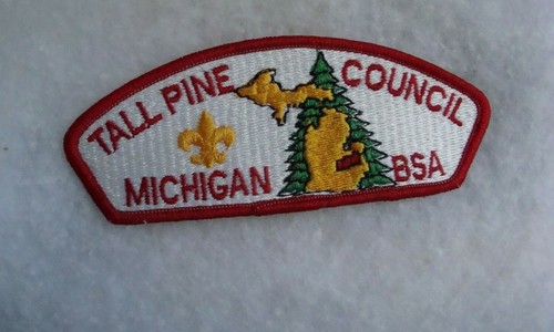 2010 boy scout bsa - 2010, tall