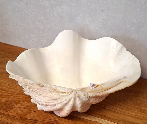 Large vintage natural - vintage, 7