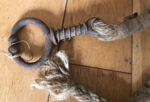 Antique vintage cattle - vintage, bulldog