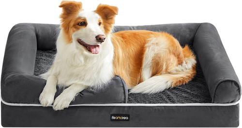 Orthopedic dog bed - orthopedic, bed,