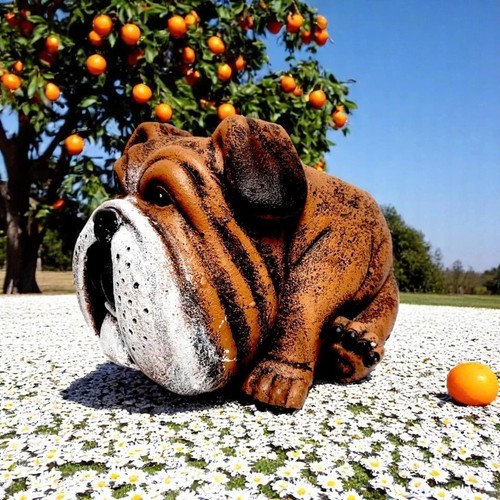 Animal plant pot dog - animal,