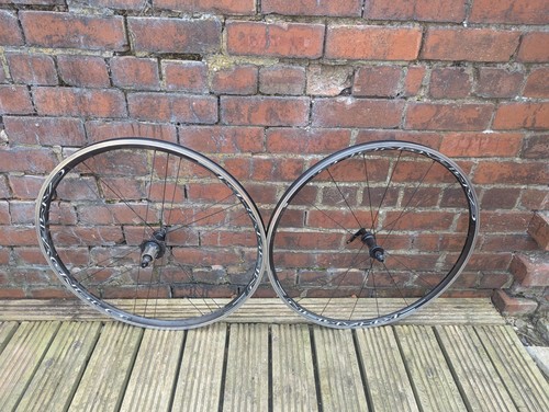 Campagnolo khamsin c17 - khamsin,