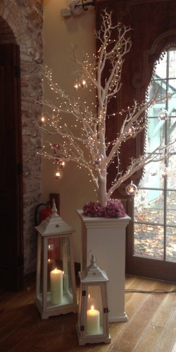 Large manzanita wishing - large, /