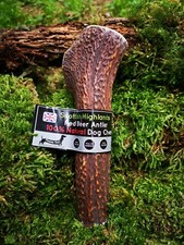 Scottish Red Deer Antler Dog
