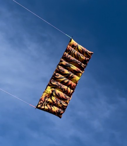 Flexifoil 2026 fireball - flexifoil,