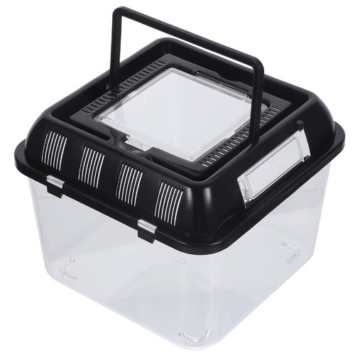 Reptile living tank pet - reptile,