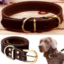 Genuine Leather Dog Collar