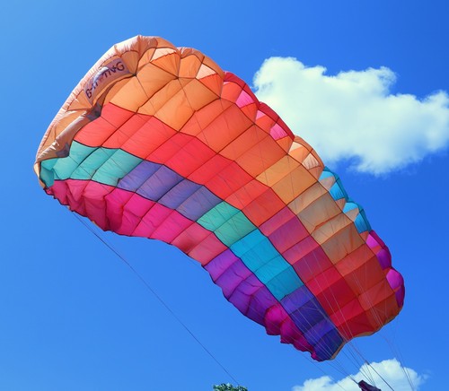 Precision batwing 116 - batwing,