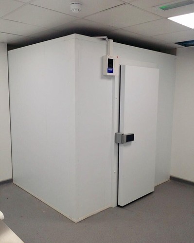 Walk commercial freezer - in,
