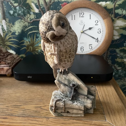 Teviotdale birds large tawny - birds-large,