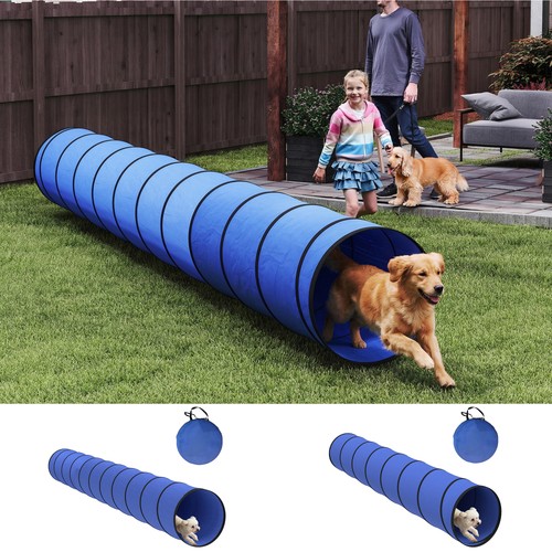 Dog tunnel foldable play - dog, tunnel,