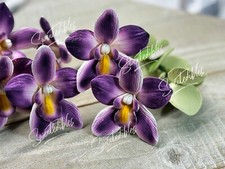 Gumpaste Dendrobium Sugar