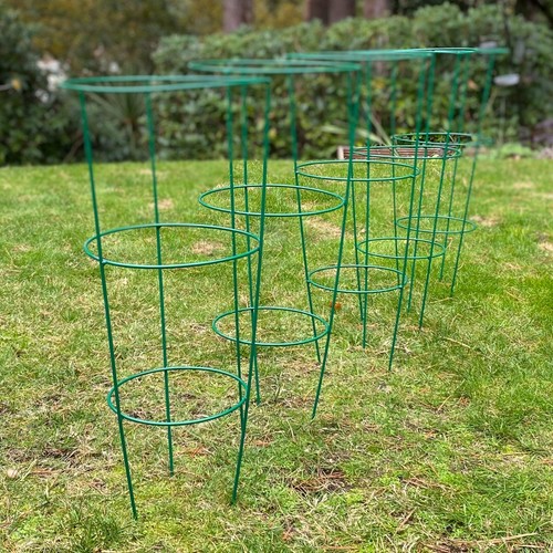 Pack metal conical garden - 5,
