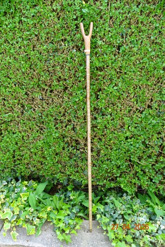 Hazel walking stick with