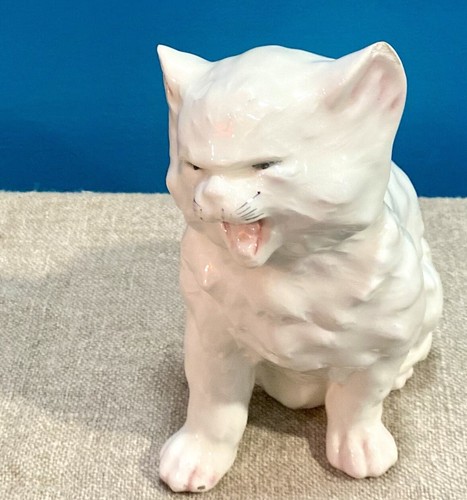 Hissing cat royal dux - cat,