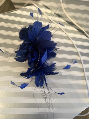 Blue feather and - feather, sparkle