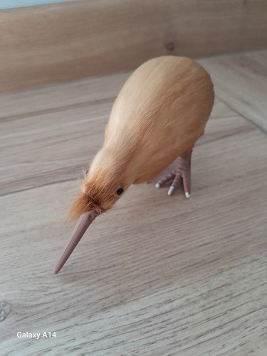 Model kiwi bird - a,