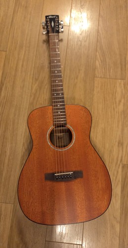 Full size cort acoustic - cort,