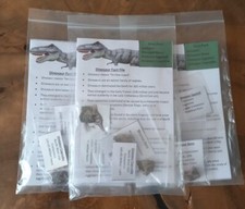 Fossil  Dinosaur Pack REAL