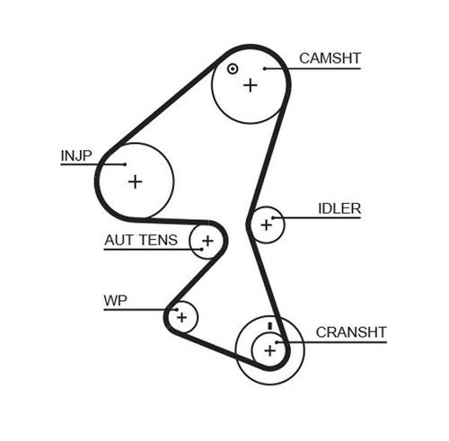 Timing belt and adjustment