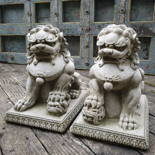Pair foo dog stone statues - pair,