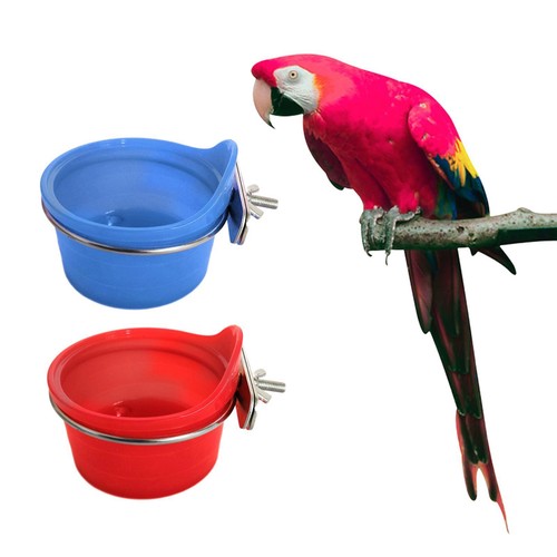 Bird feeder bowl - bowl, water