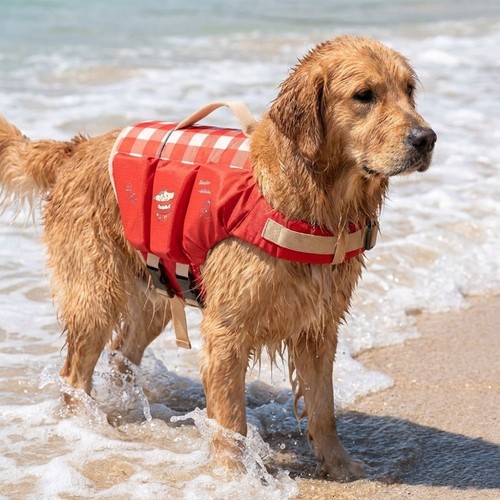 Dog life jacket waterproof - jacket,,