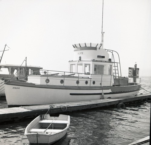 A23 negative vintage - a23,