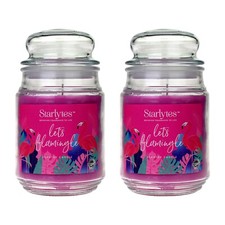 2x Starlytes 510g Large Glass Jar Candle (125hr Burn Time) - Lets Flamingle