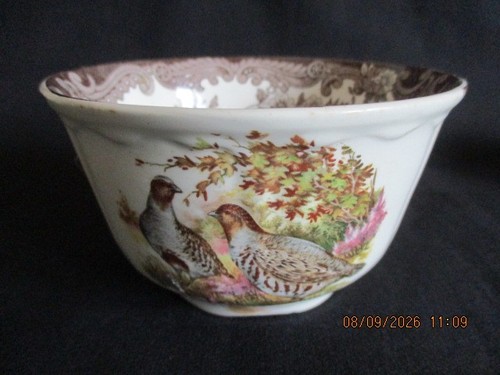 Royal worcester palissy - royal, game