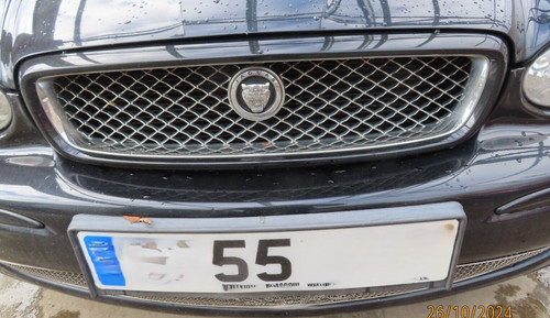 Jaguar type honeycomb front - jaguar, x-type