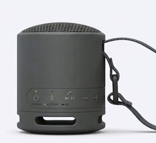 Sony srs xb100 portable - sony,