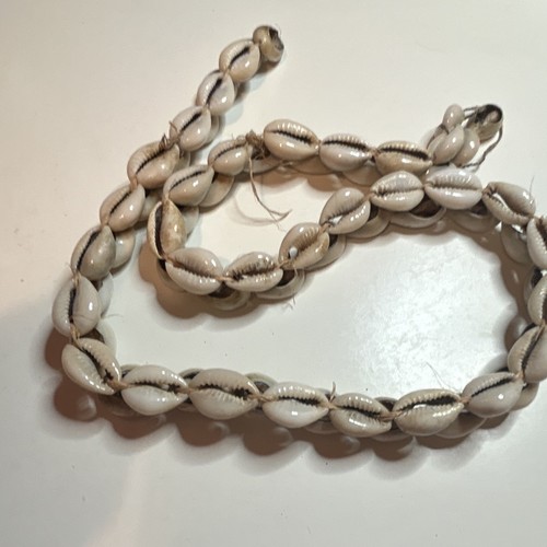 Vintage cowrie shell hand - vintage, shell.