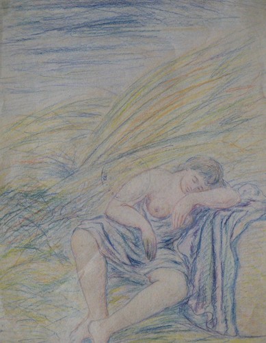 Pino della selva - della,