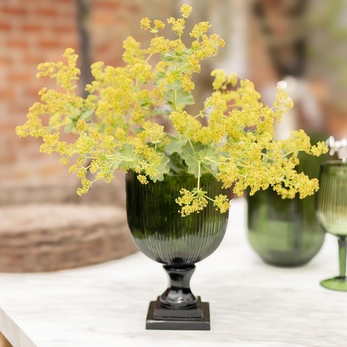 Emerald glass hurricane vase - emerald,