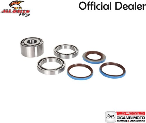 Rear differential bearings - rear,