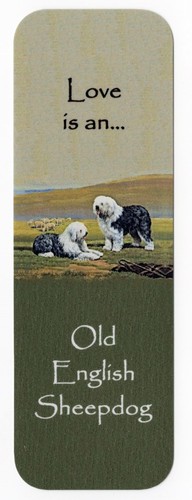 Old english sheepdog dog - english,