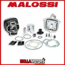 317353 THERMAL GROUP MALOSSI
