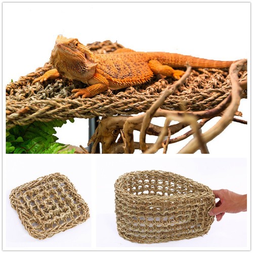Hammock reptile platform - hammock,