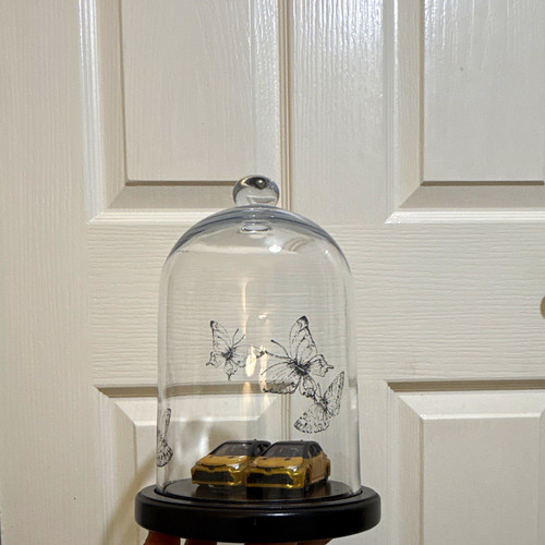 Glass dome bell - dome/bell, cloche