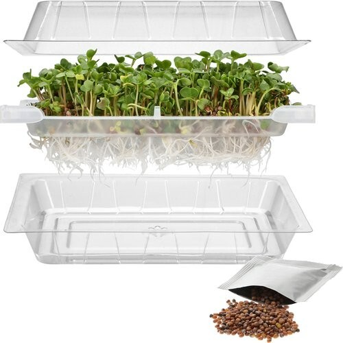 Seed sprouter tray seeds - sprouter,